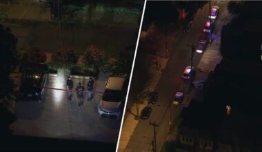 Man shot in the head, killed in Philly on Friday night – NBC10 Philadelphia