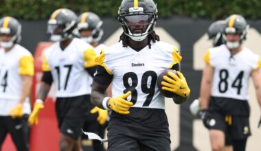 Steelers release veteran wide receiver
