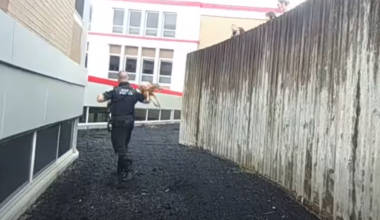 Video shows Pittsburgh-area officer catching panicked fawn: "Fearlessness of a FIFA World Cup Goaltender"