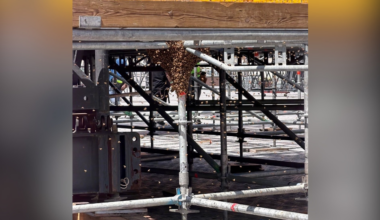About 5 pounds of bees removed from Acrisure Stadium scaffolding ahead of Morgan Wallen concerts