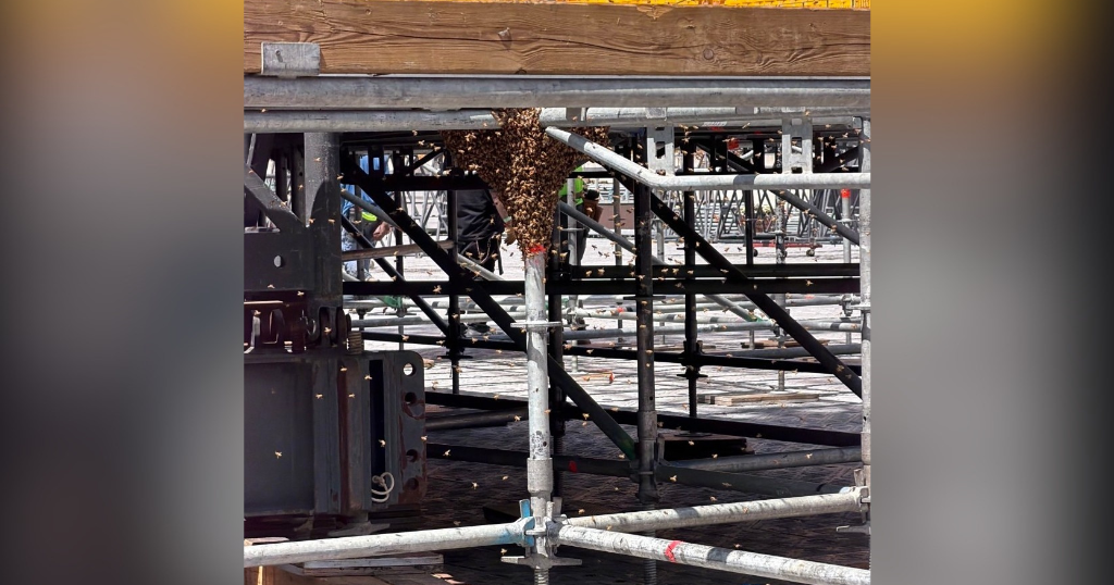 kdka-honeybees.png