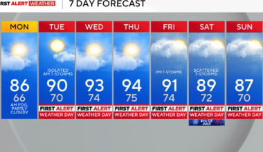 Pittsburgh area bracing for heat wave with multiple days of high temperatures in the 90s