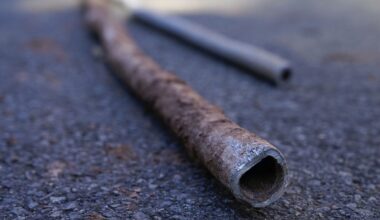lead service lines