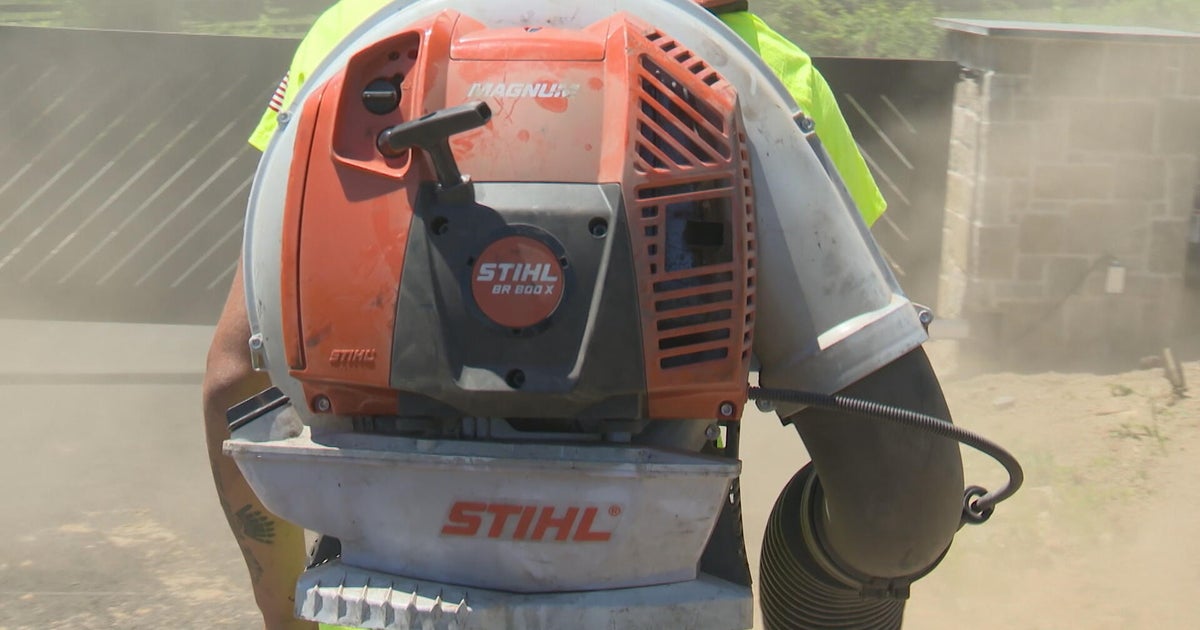 Ordinance banning gas-powered leaf blowers in Lower Merion Township, Pennsylvania, takes effect
