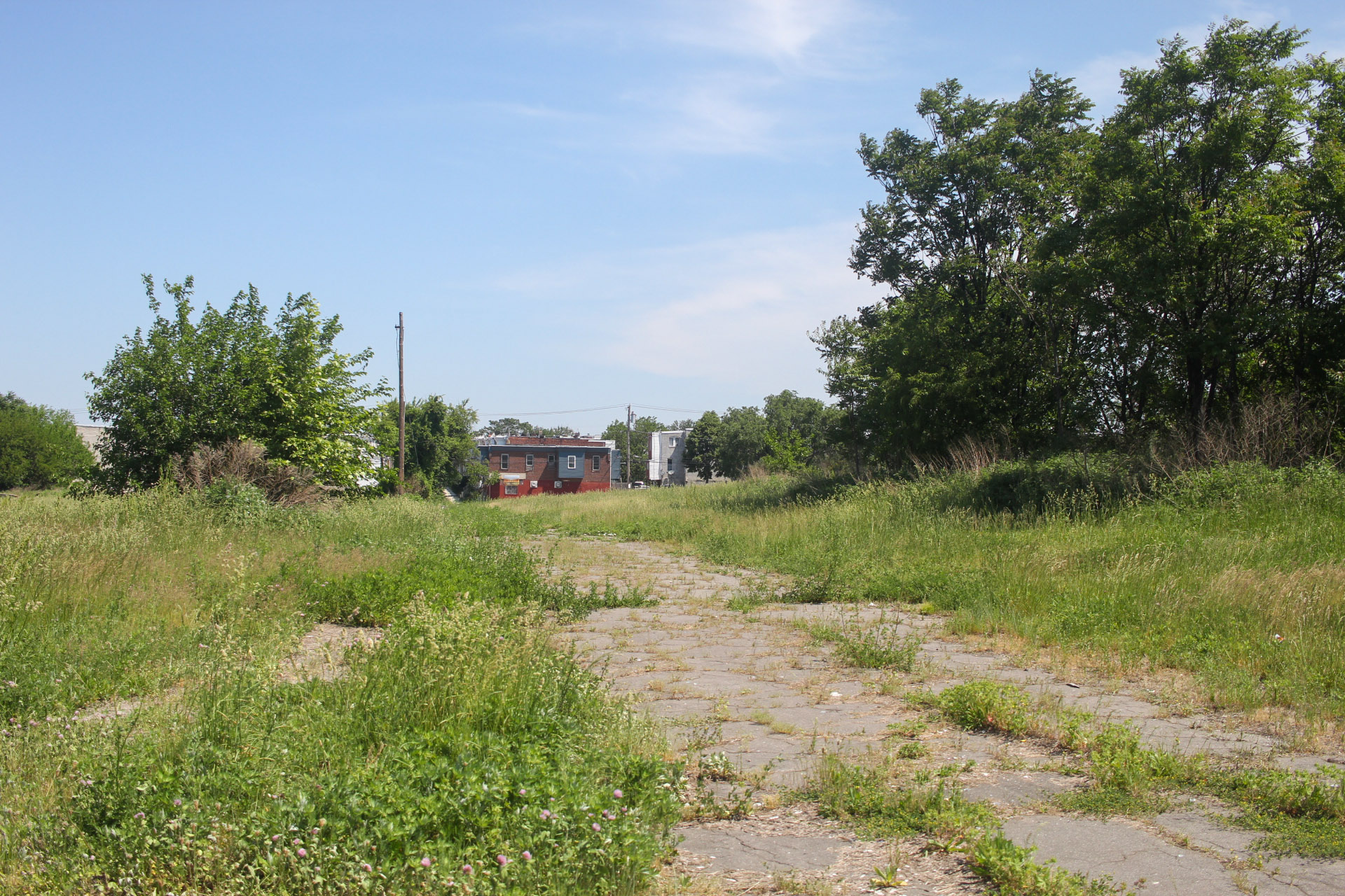 An overgrown, cracked pavement path runs through a grassy area with trees on both sides and a red building in the background under a blue sky.