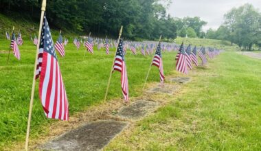 Memorialdayflagrow