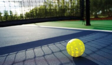 Pickleball Net