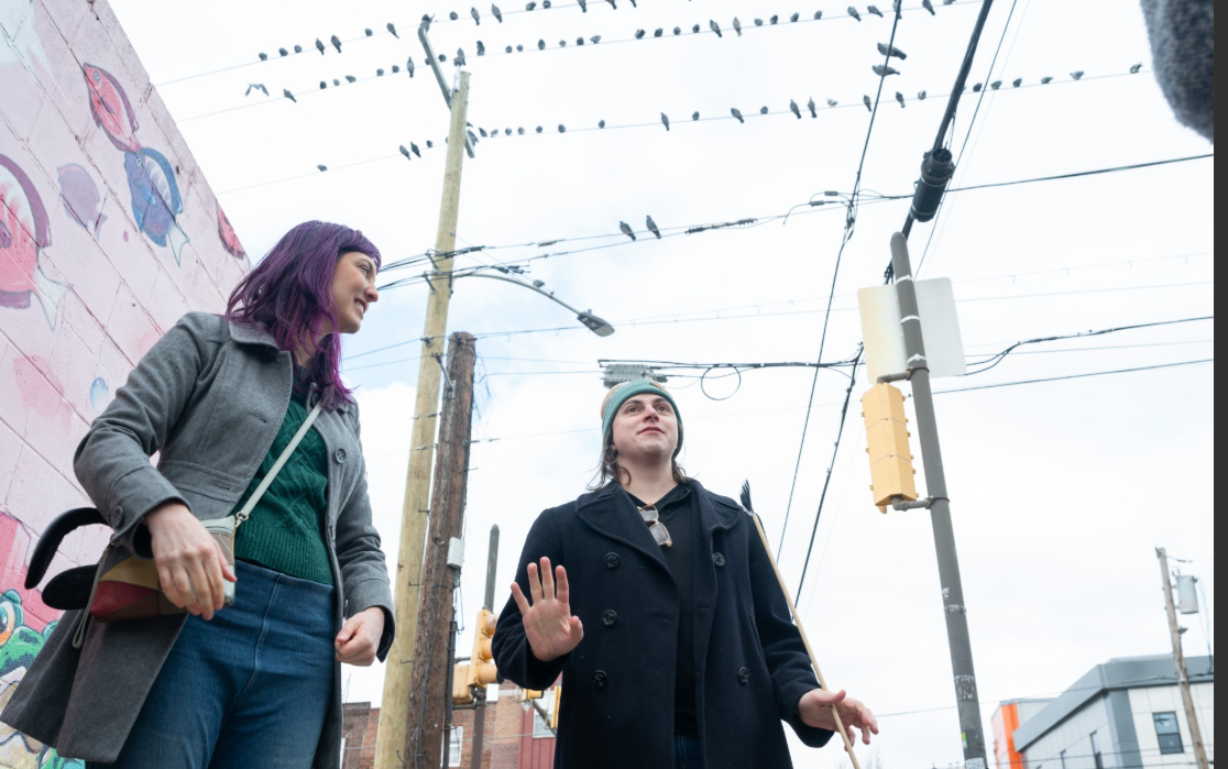 pigeon-tours.png