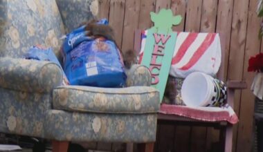 Pittsburgh-area woman charged after rats overrun neighbors' properties, police say