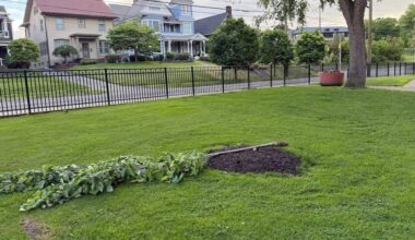 Vandals target Pretzel Park in Green Ridge for a second time