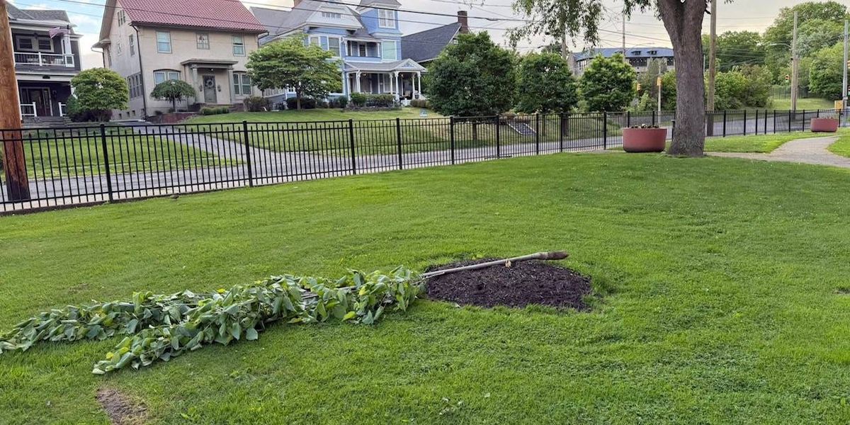 Vandals target Pretzel Park in Green Ridge for a second time