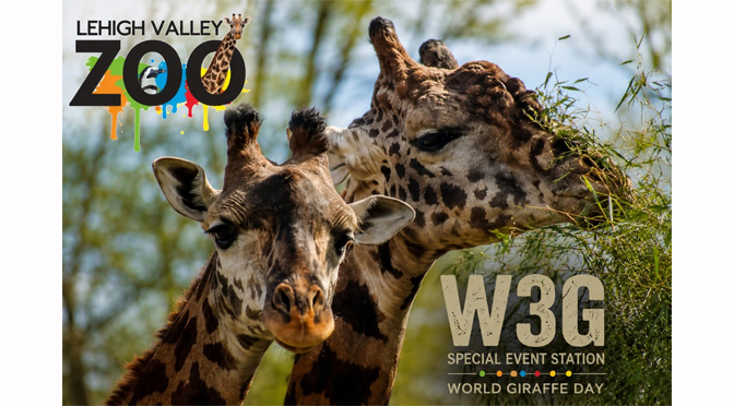 Local Amateur Radio Group to Celebrate World Giraffe Day at Lehigh Valley Zoo