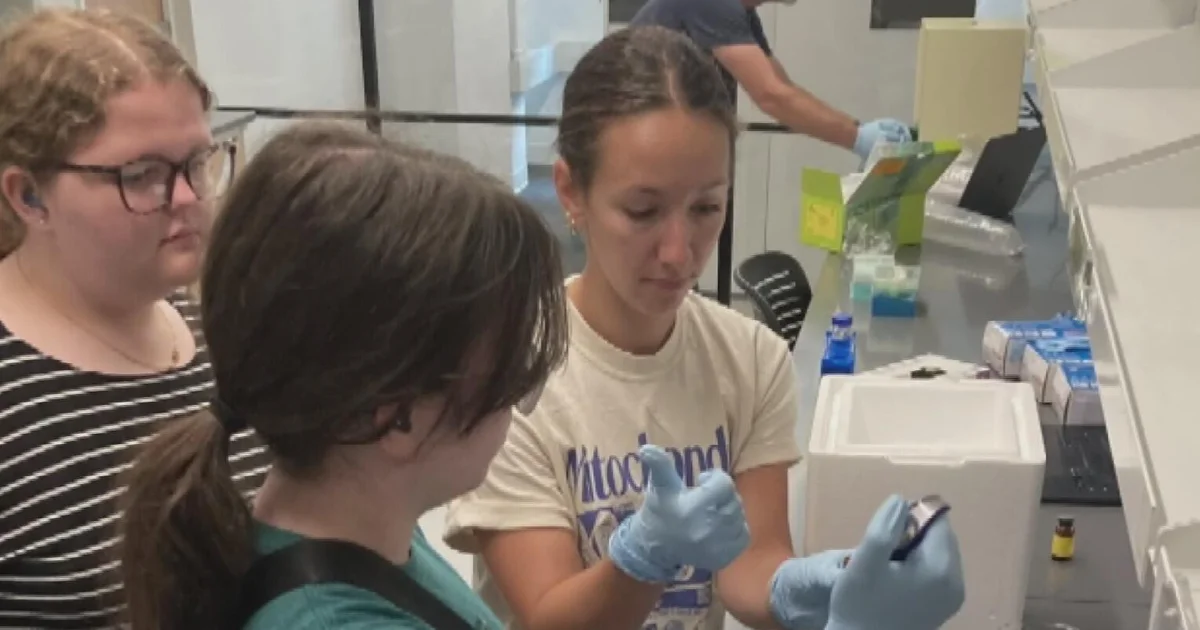 New program encourages Pittsburgh-area students who are deaf to pursue careers in STEM