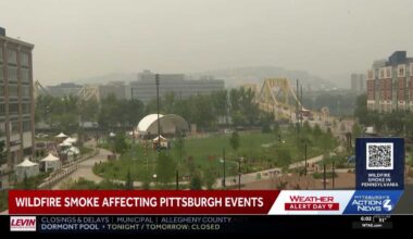 Wildfire Smoke, Heat Impact Picklesburgh