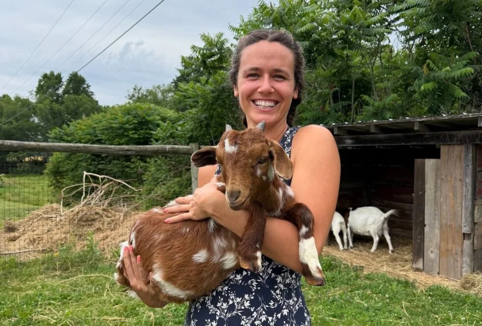 Port Farms goat
