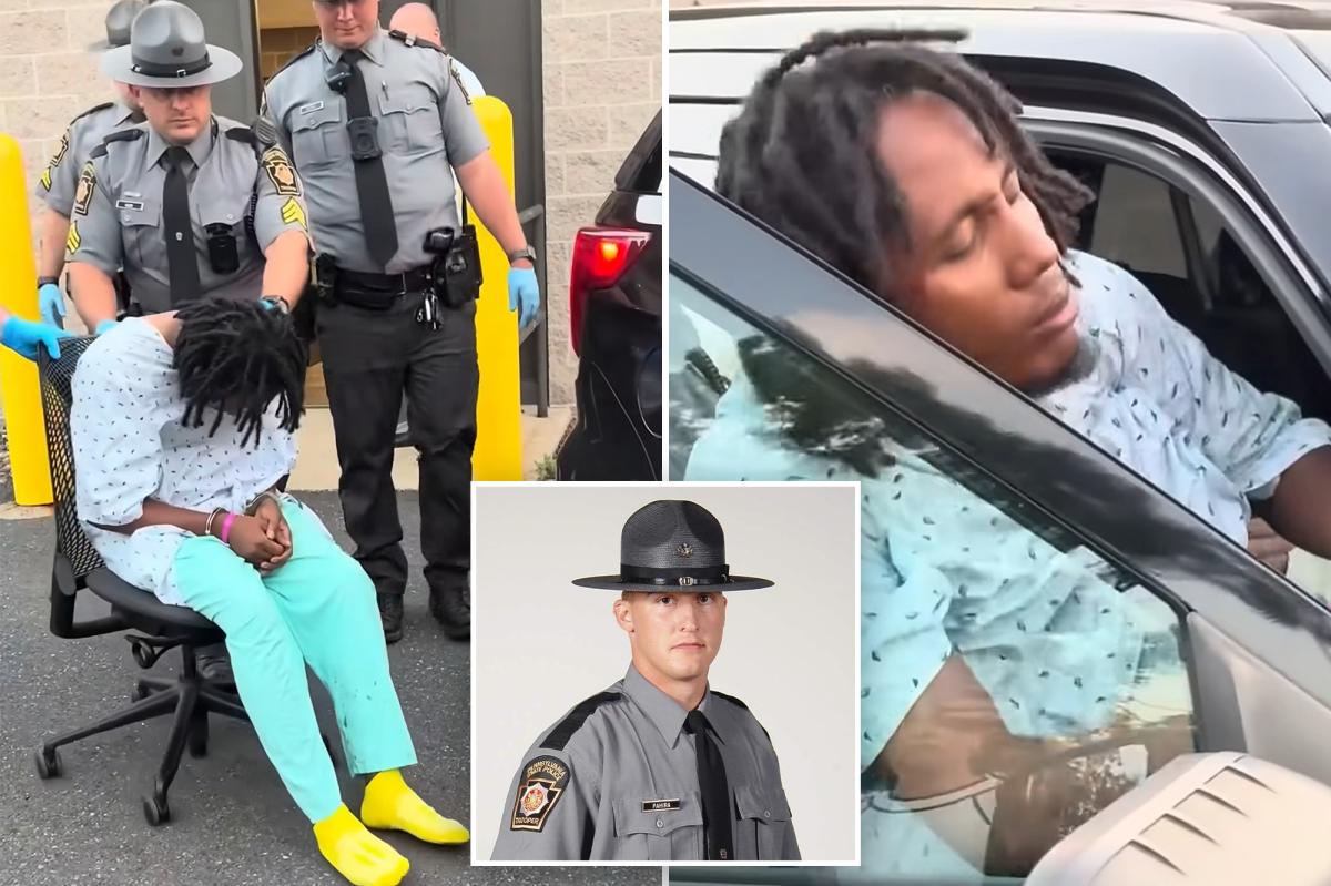 Pennsylvania state trooper Michael Pahira killed by Haitian illegal immigrant truck driver Michael Bon: report