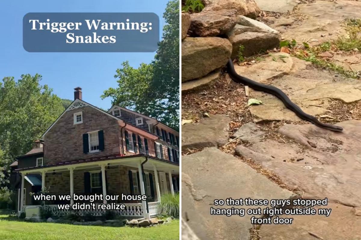 Pennsylvania couple discover the dream home they purchased is infested with snakes