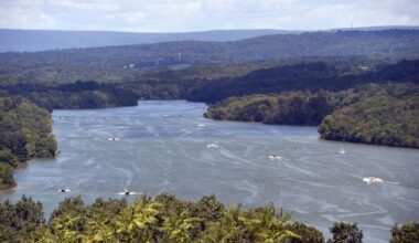 Advisory issued for harmful algal bloom at Blue Marsh Lake
