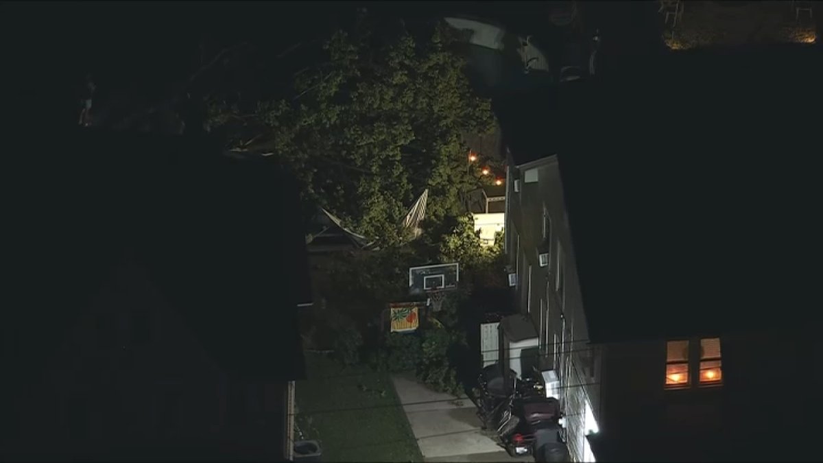 Tree falls into South Jersey backyards on Friday – NBC10 Philadelphia