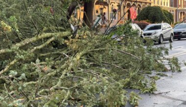Storms down trees around Lehigh Valley ahead of Fourth of July: Photos