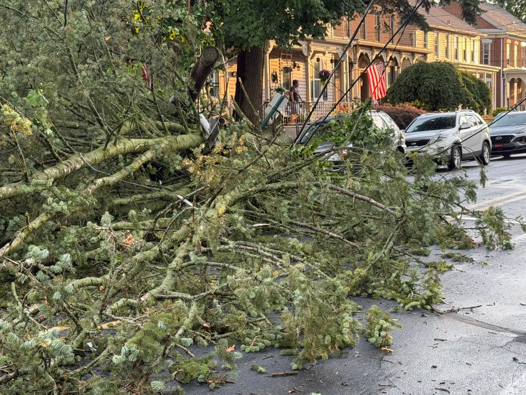 Storms down trees around Lehigh Valley ahead of Fourth of July: Photos