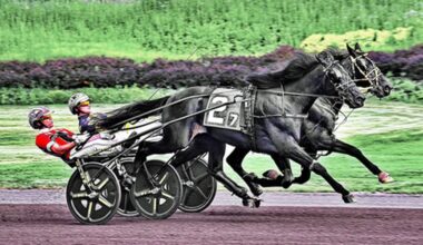 Pocono: Dream Shaq tops Pennsylvania All-Stars winners