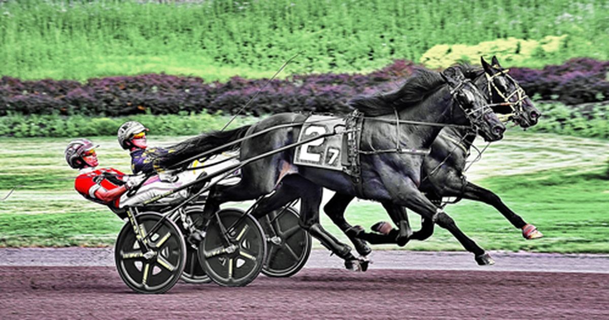 Pocono: Dream Shaq tops Pennsylvania All-Stars winners