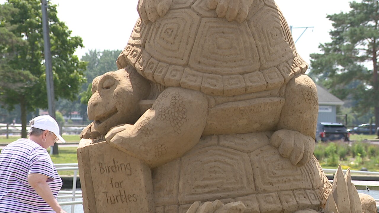 Lake Erie Sand Sculptures