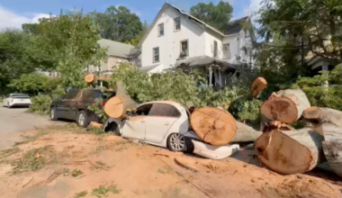 See it: Series of destructive microbursts leaves widespread damage in Philadelphia