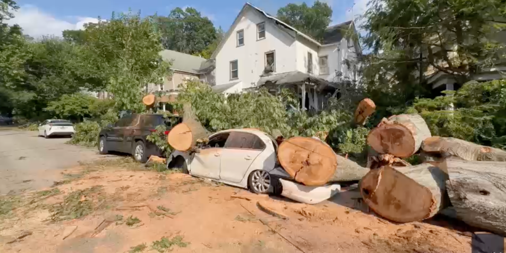 See it: Series of destructive microbursts leaves widespread damage in Philadelphia