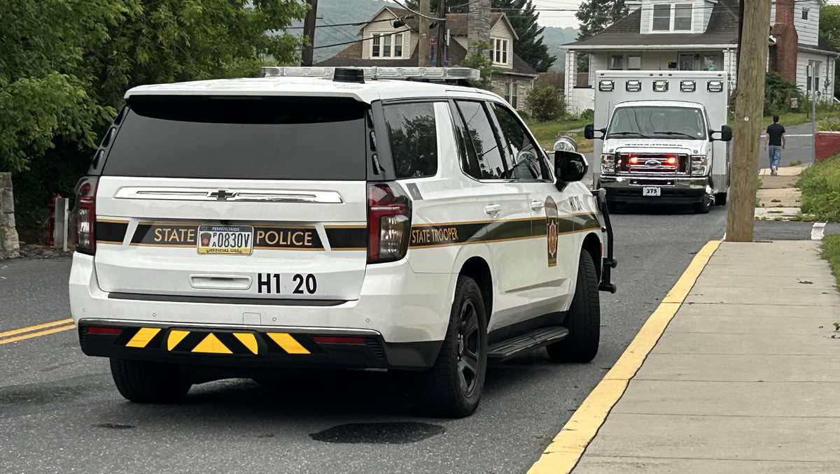 Woman dies from injuries after son beat her beyond recognition