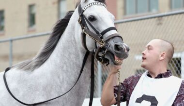 Smooch Up looks to stay perfect at home base in Lady Erie