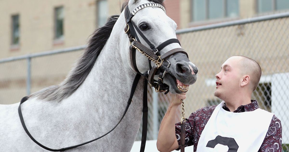 Smooch Up looks to stay perfect at home base in Lady Erie