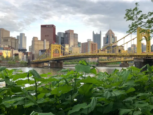 Pittsburgh jobs for 6/29/26: Robert Morris University, Duolingo, Holtec International and more