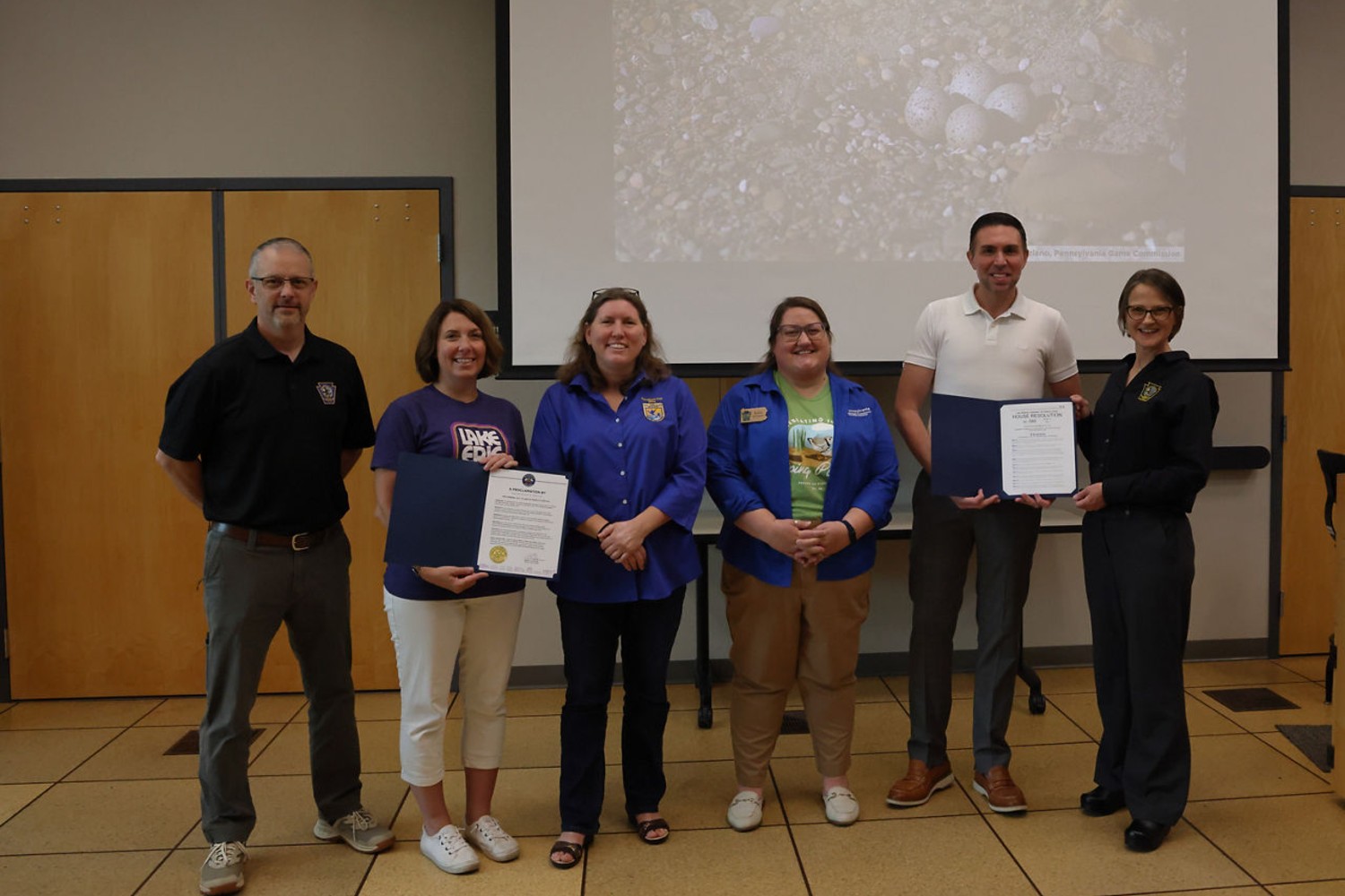 Once Gone From Pennsylvania, Piping Plovers Celebrate 10 Years of Nesting Success