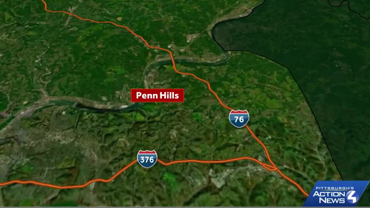 Pennsylvania woman dies from dog bite injuries
