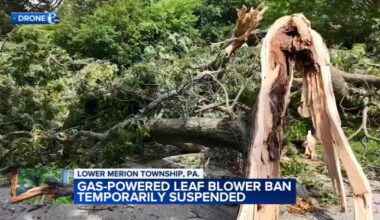 Lower Merion Township suspends gas-powered leaf blower ban after straight-line wind gusts leave storm damage in Montgomery County