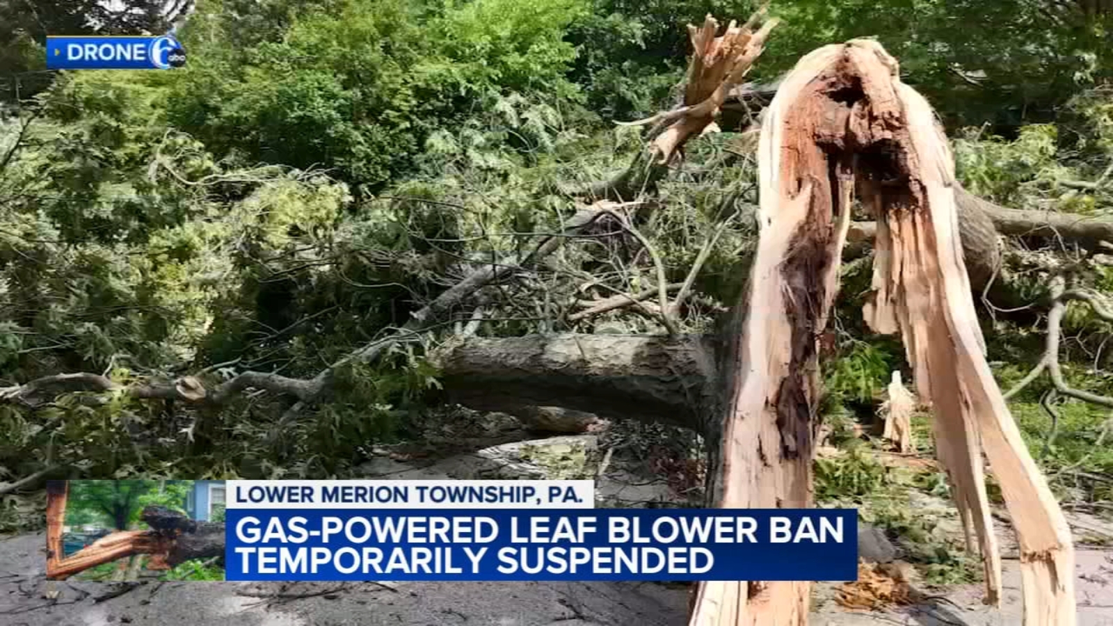 Lower Merion Township suspends gas-powered leaf blower ban after straight-line wind gusts leave storm damage in Montgomery County