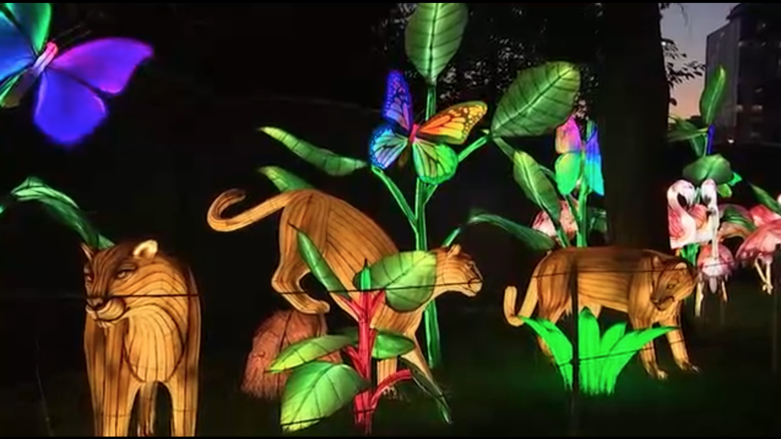 Chinese Lantern Festival lights up Franklin Square for cultural glow and family fun