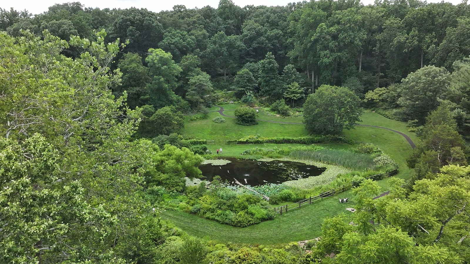 A gorgeous getaway awaits at Jenkins Arboretum & Garden in Devon, Pennsylvania