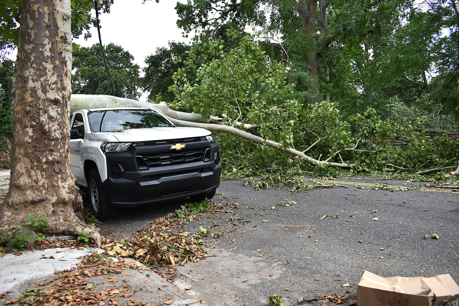 Storm damage is shown along Pine Street in West Philadelphia on Sunday, July 12, 2026.