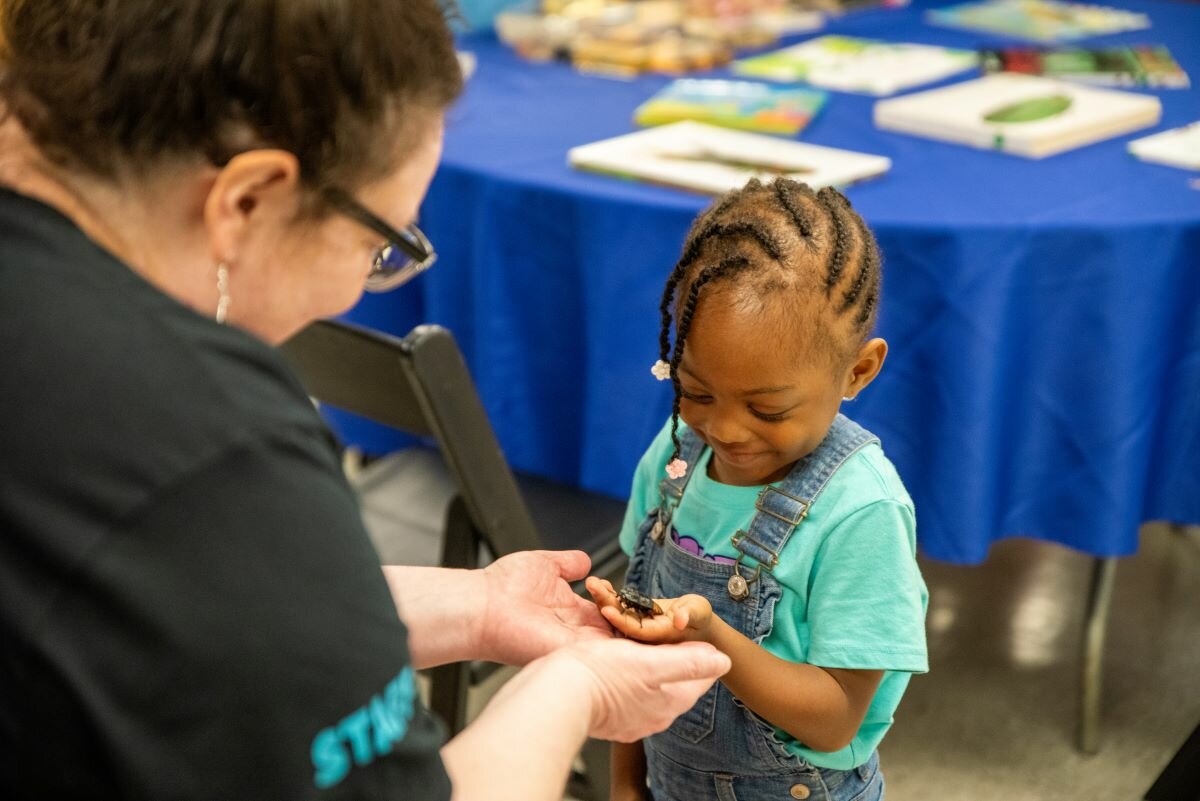 Families can head to the Academy of Natural Science this summer for different events.