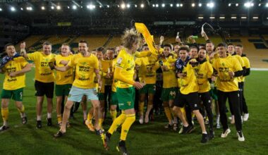 Deloitte report tough reading for Norwich and Championship
