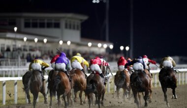 Chelmsford City looks set for return to racing action