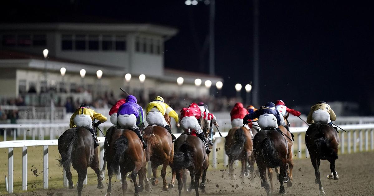 Chelmsford City looks set for return to racing action