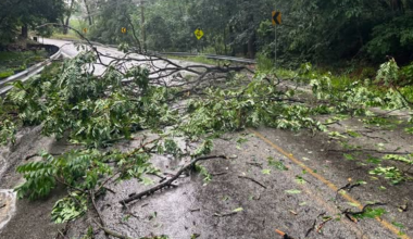 Shaler Township roads blocked, closed due to storm damage