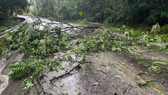 Shaler Township roads blocked, closed due to storm damage