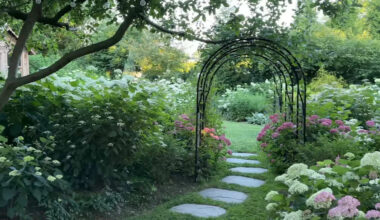 Pennsylvania hydrangea garden hits full bloom, and one lime-green variety steals the show