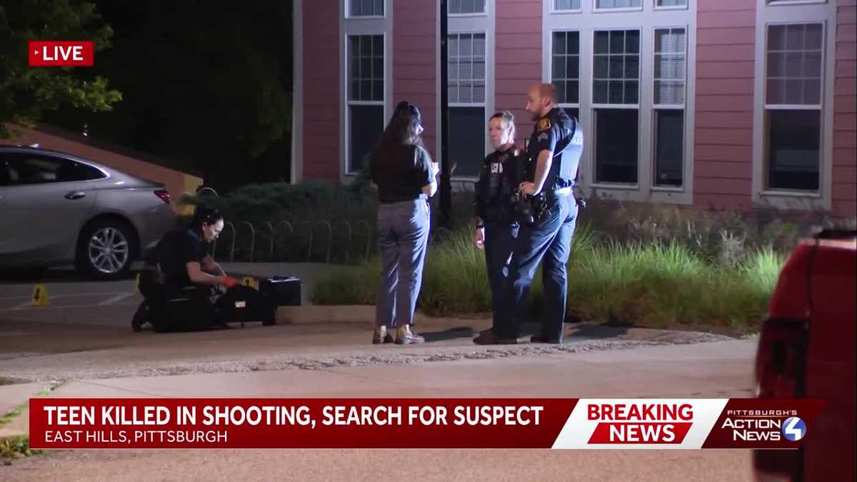 18-year-old killed in East Hills shooting