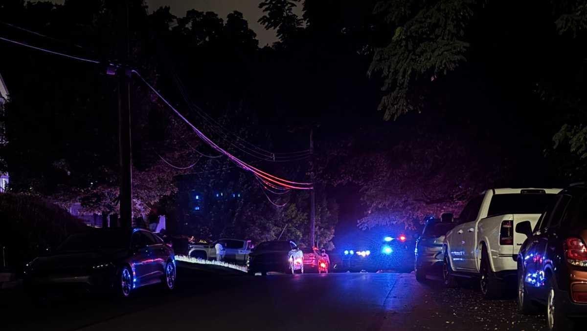 Woman shot in Wilkinsburg; one suspect taken into custody
